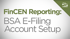 FinCEN Reporting: BSA E-Filing Account Setup