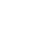 Password security icon